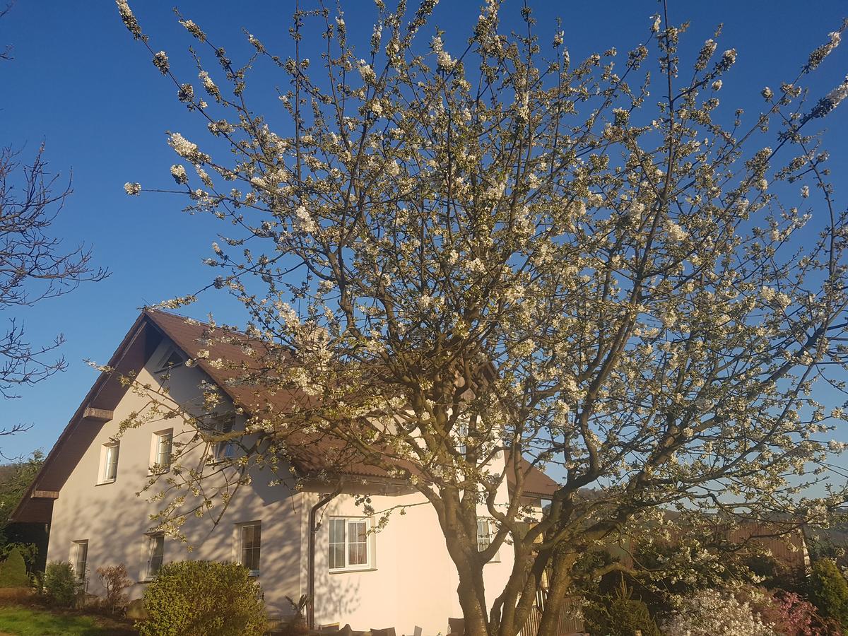 Vila Na Skalce Česká Kamenice Esterno foto